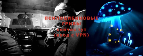 экстази Заводоуковск