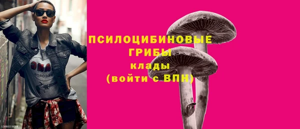 экстази Заводоуковск